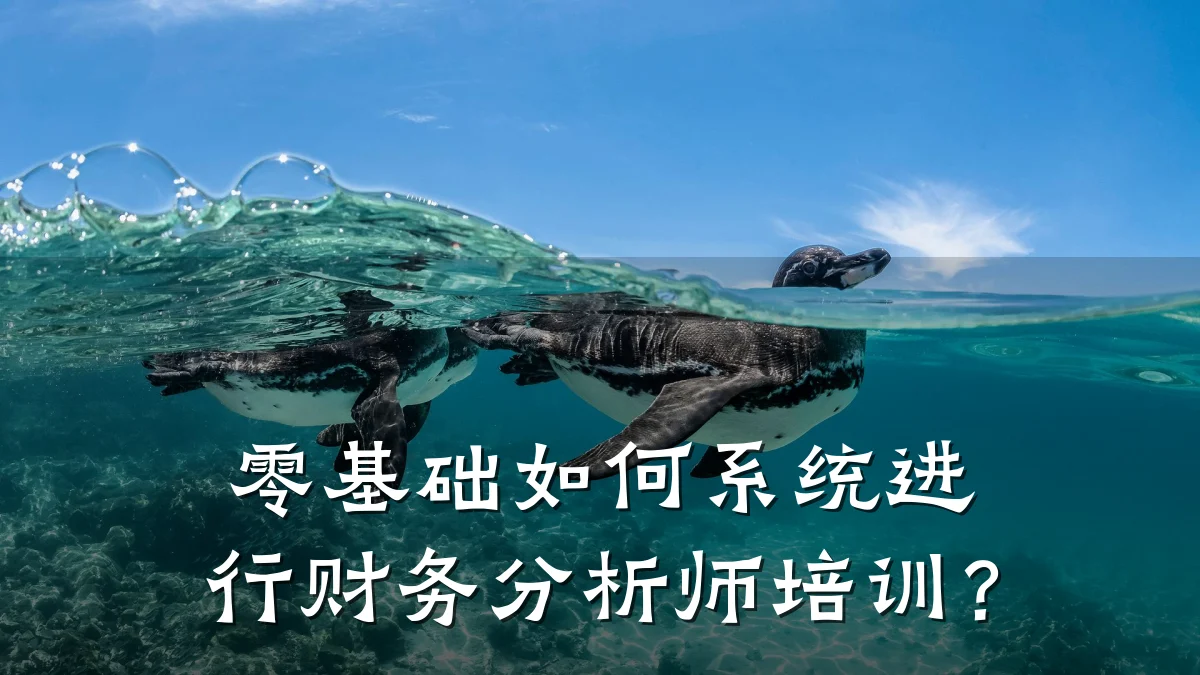 零基础如何系统进行财务分析师培训?