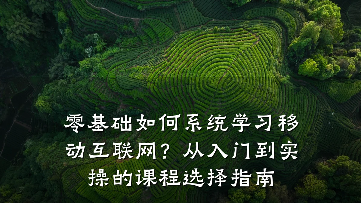 零基础如何系统学习移动互联网?从入门到实操的课程选择指南