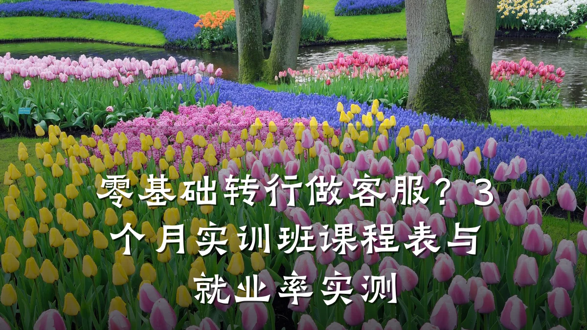 零基础转行做客服?3个月实训班课程表与就业率实测