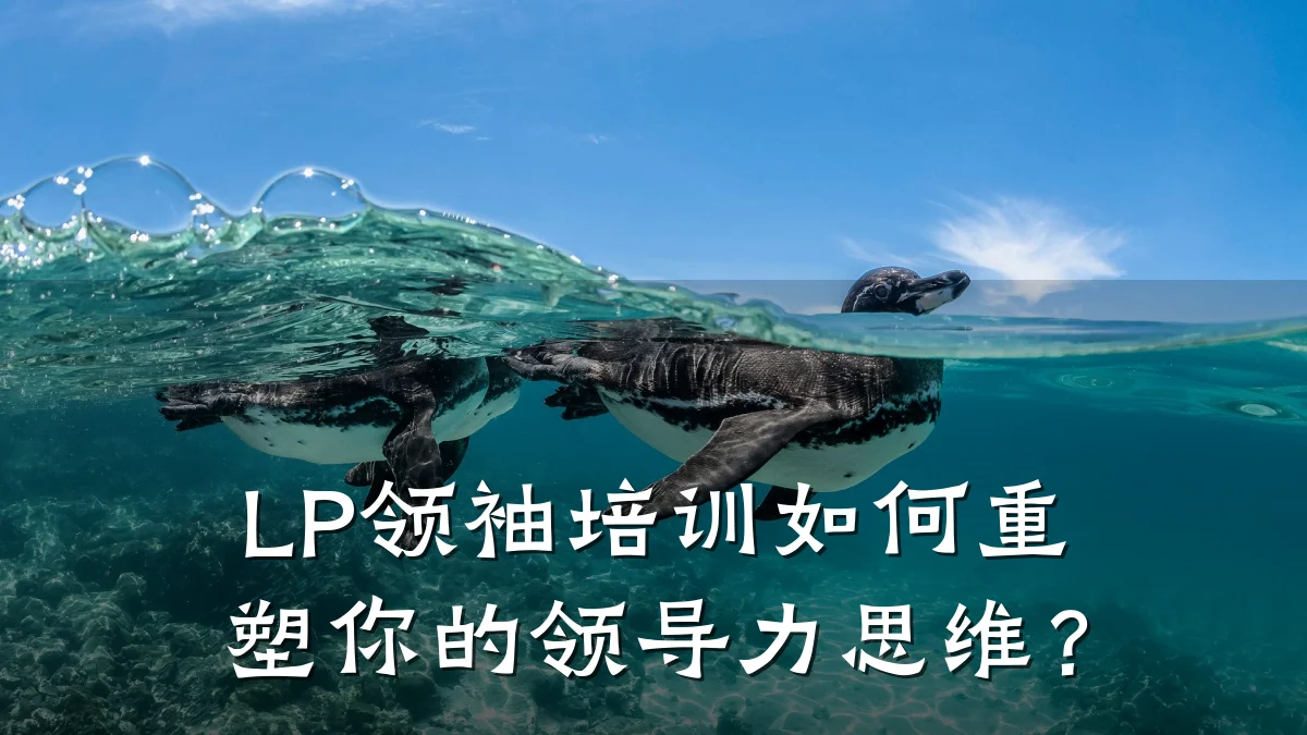 LP领袖培训如何重塑你的领导力思维?