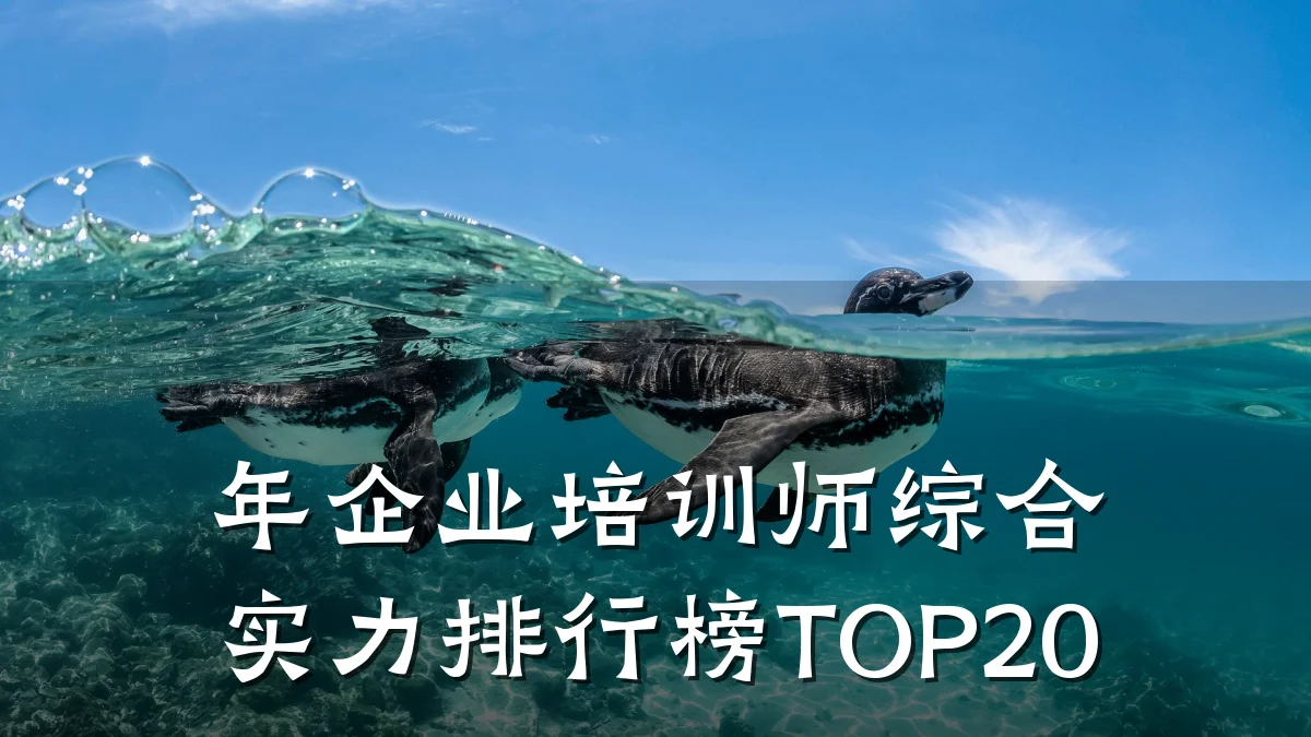 年企业培训师综合实力排行榜TOP20