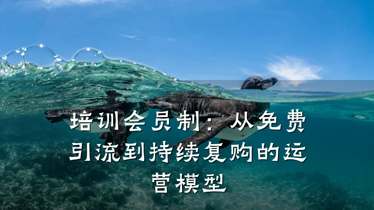 培训会员制:从免费引流到持续复购的运营模型
