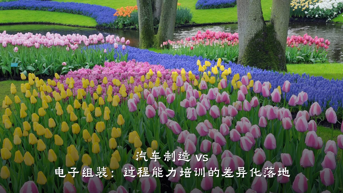 汽车制造 vs 电子组装:过程能力培训的差异化落地