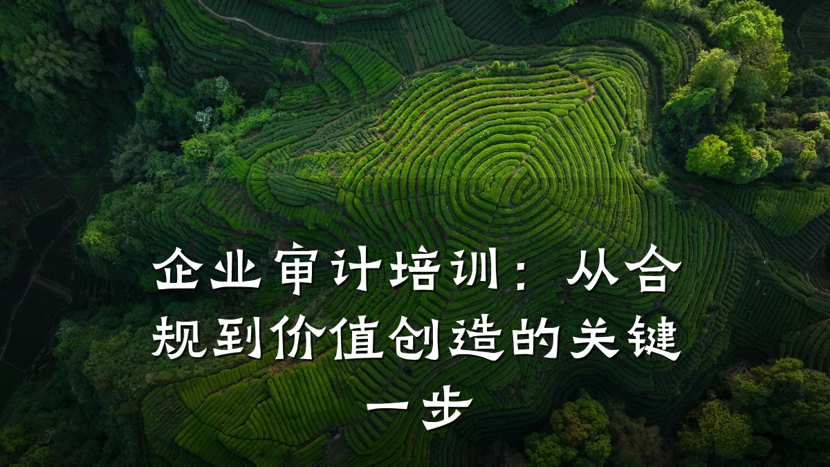 企业审计培训:从合规到价值创造的关键一步