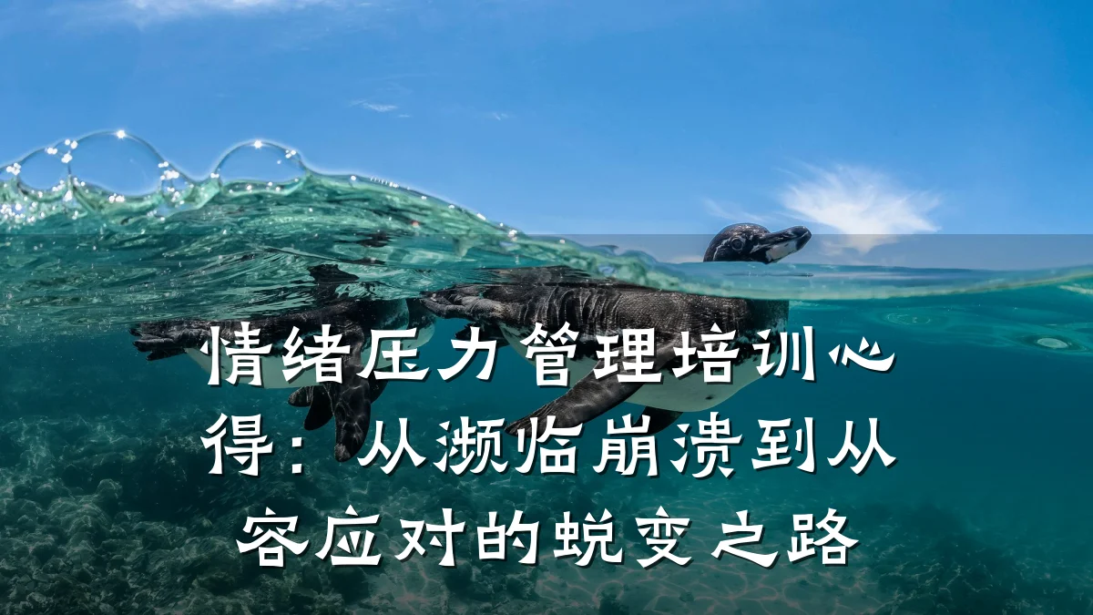 情绪压力管理培训心得:从濒临崩溃到从容应对的蜕变之路