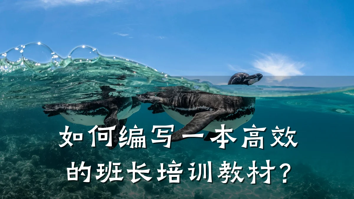 如何编写一本高效的班长培训教材?