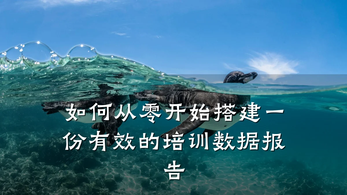 如何从零开始搭建一份有效的培训数据报告