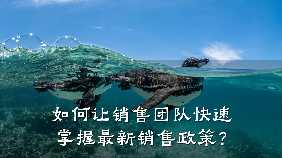 如何让销售团队快速掌握最新销售政策?