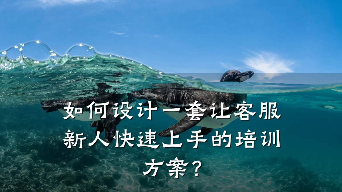 如何设计一套让客服新人快速上手的培训方案?