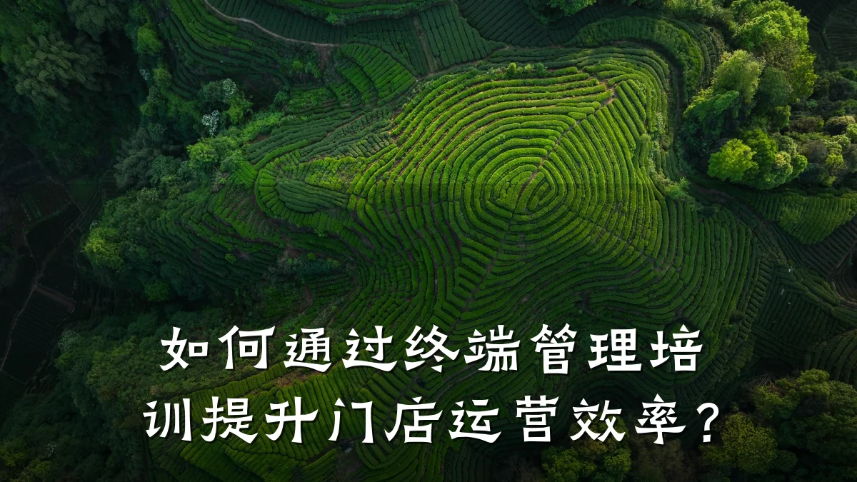 如何通过终端管理培训提升门店运营效率?