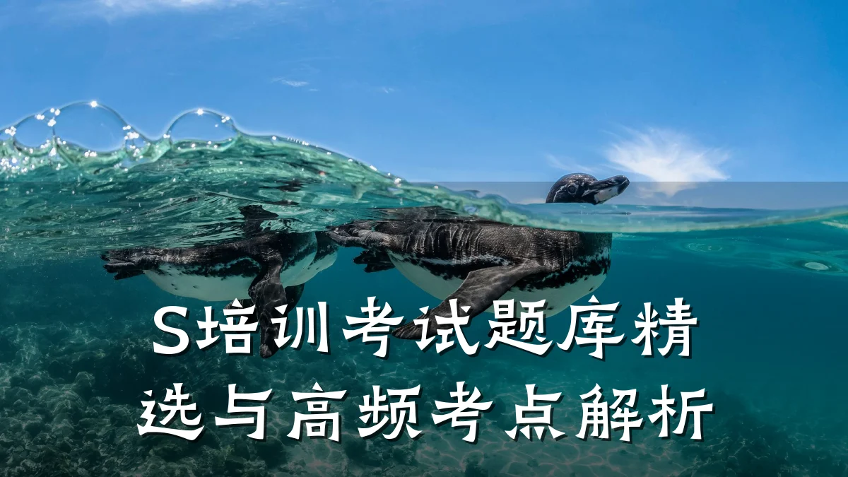 S培训考试题库精选与高频考点解析