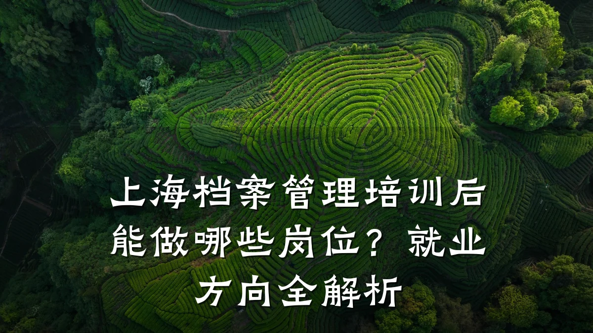 上海档案管理培训后能做哪些岗位?就业方向全解析