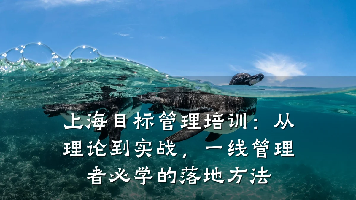 上海目标管理培训:从理论到实战,一线管理者必学的落地方法