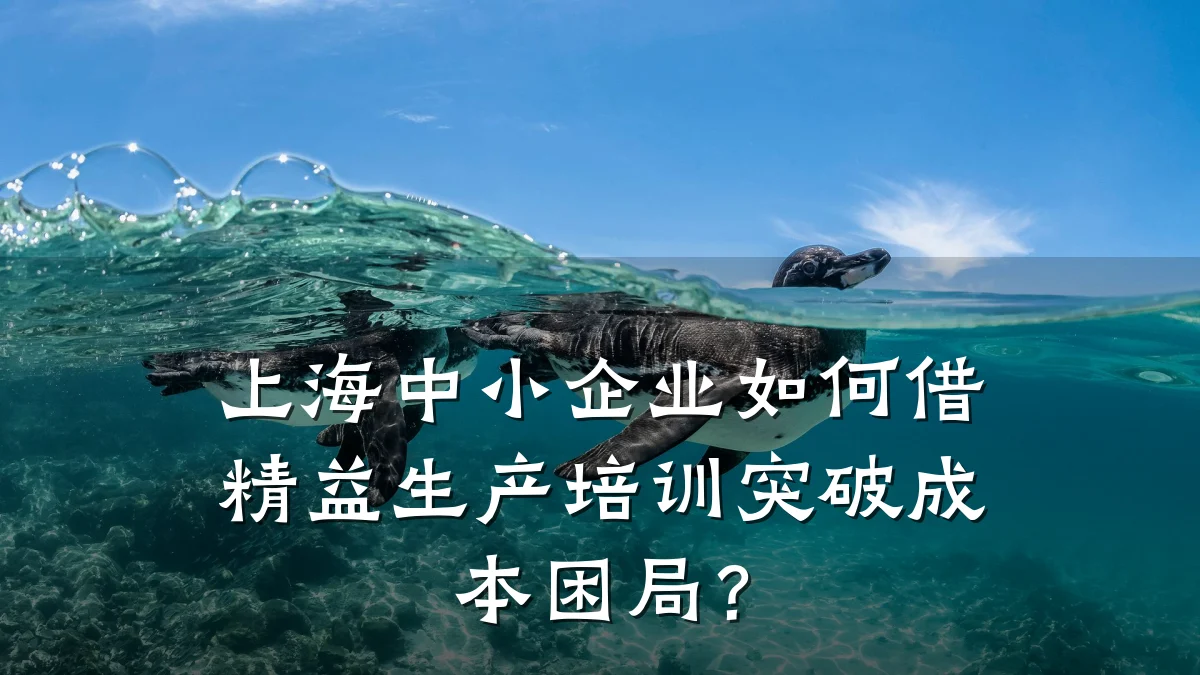 上海中小企业如何借精益生产培训突破成本困局?