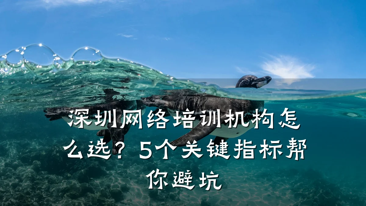 深圳网络培训机构怎么选?5个关键指标帮你避坑