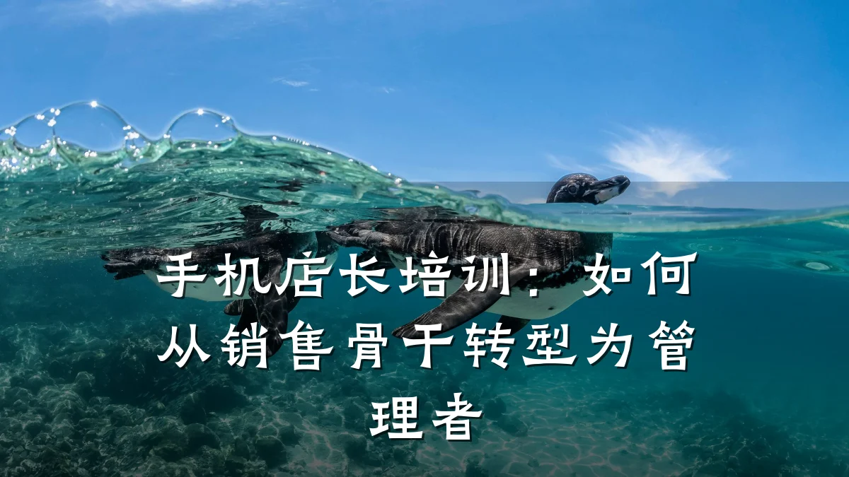 手机店长培训:如何从销售骨干转型为管理者