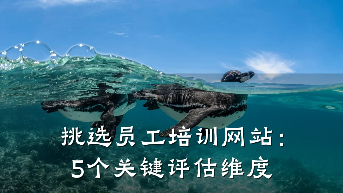 挑选员工培训网站:5个关键评估维度
