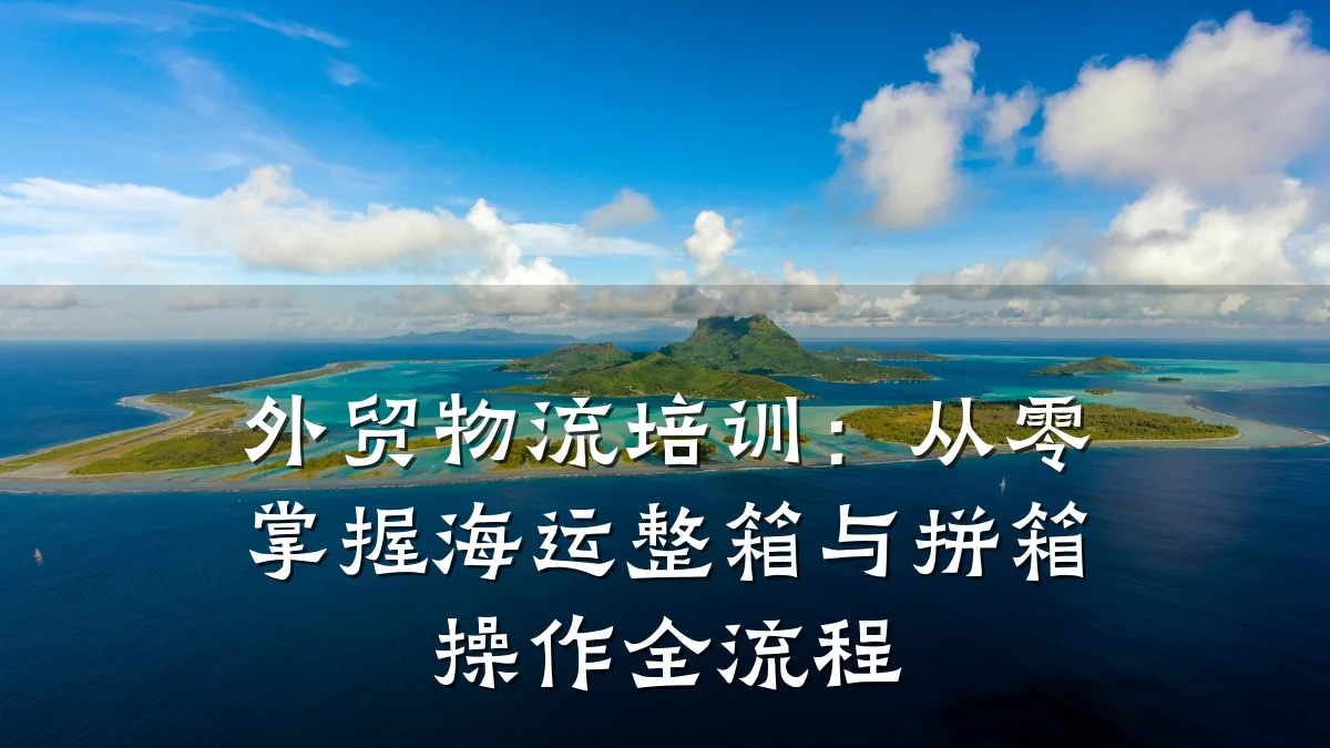 外贸物流培训:从零掌握海运整箱与拼箱操作全流程