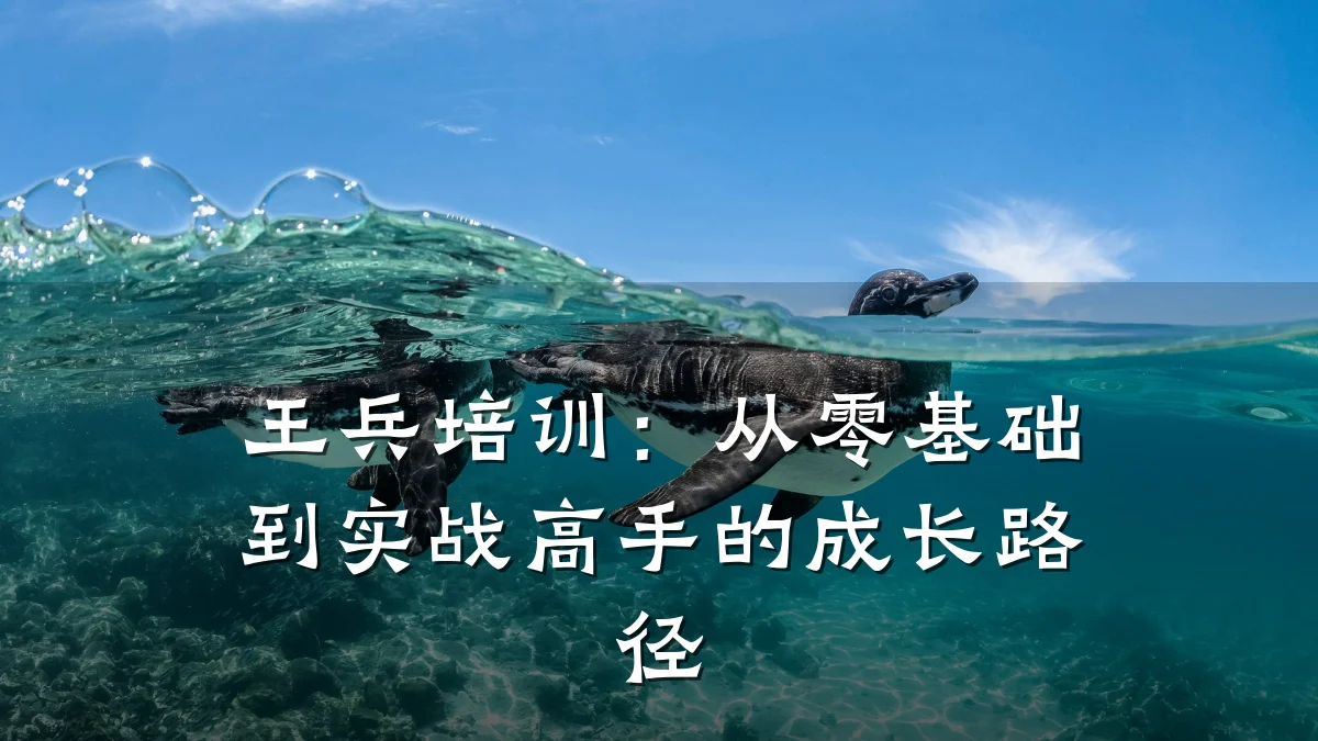 王兵培训:从零基础到实战高手的成长路径