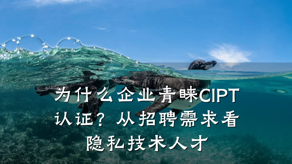 为什么企业青睐CIPT认证?从招聘需求看隐私技术人才