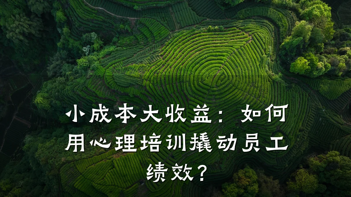 小成本大收益:如何用心理培训撬动员工绩效?