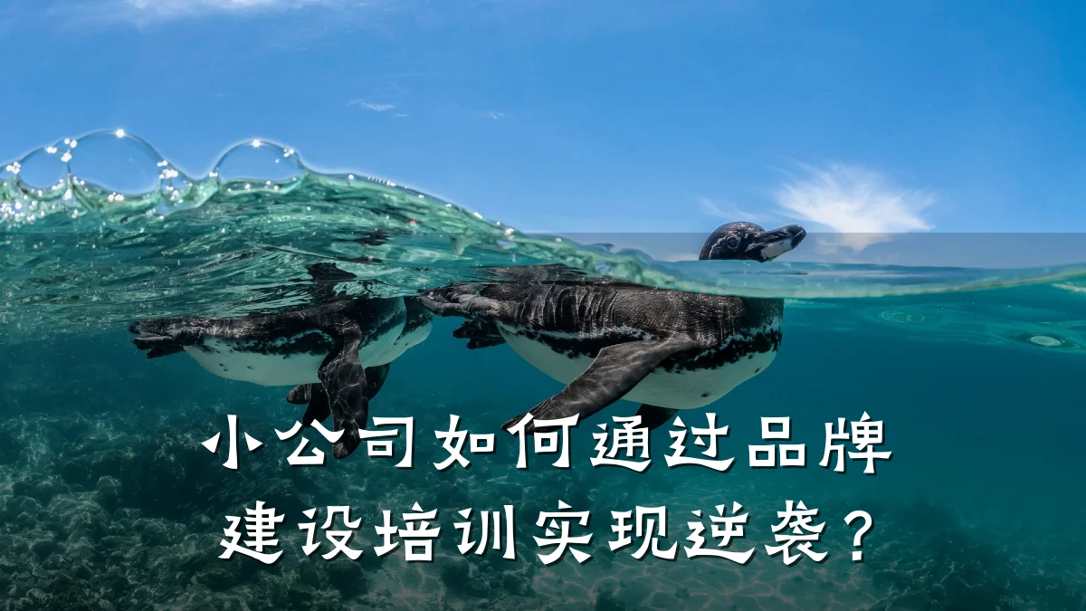 小公司如何通过品牌建设培训实现逆袭?