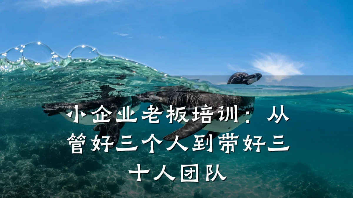 小企业老板培训:从管好三个人到带好三十人团队