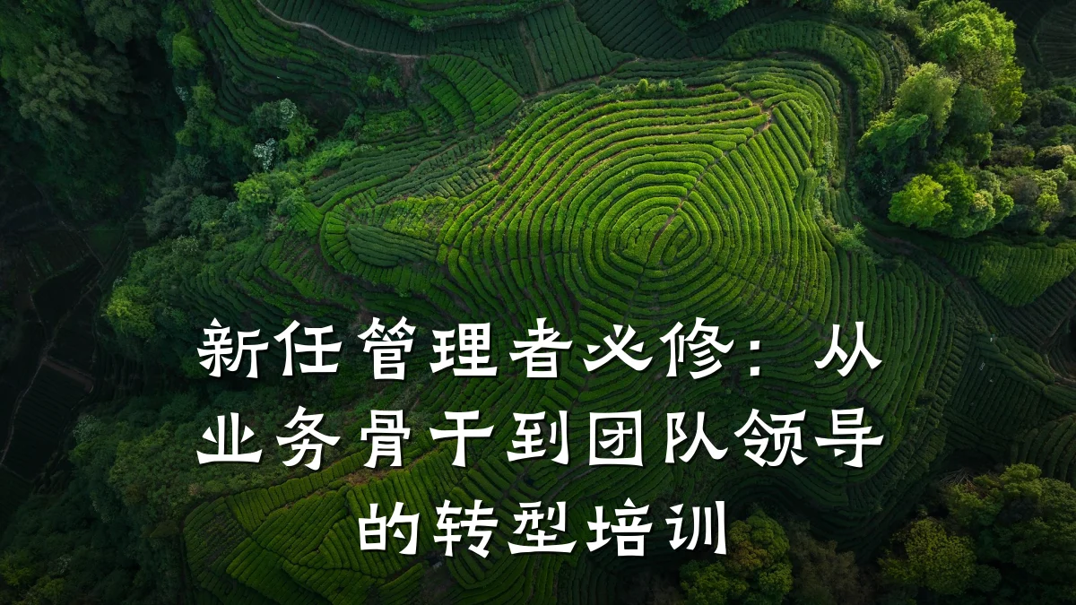 新任管理者必修:从业务骨干到团队领导的转型培训