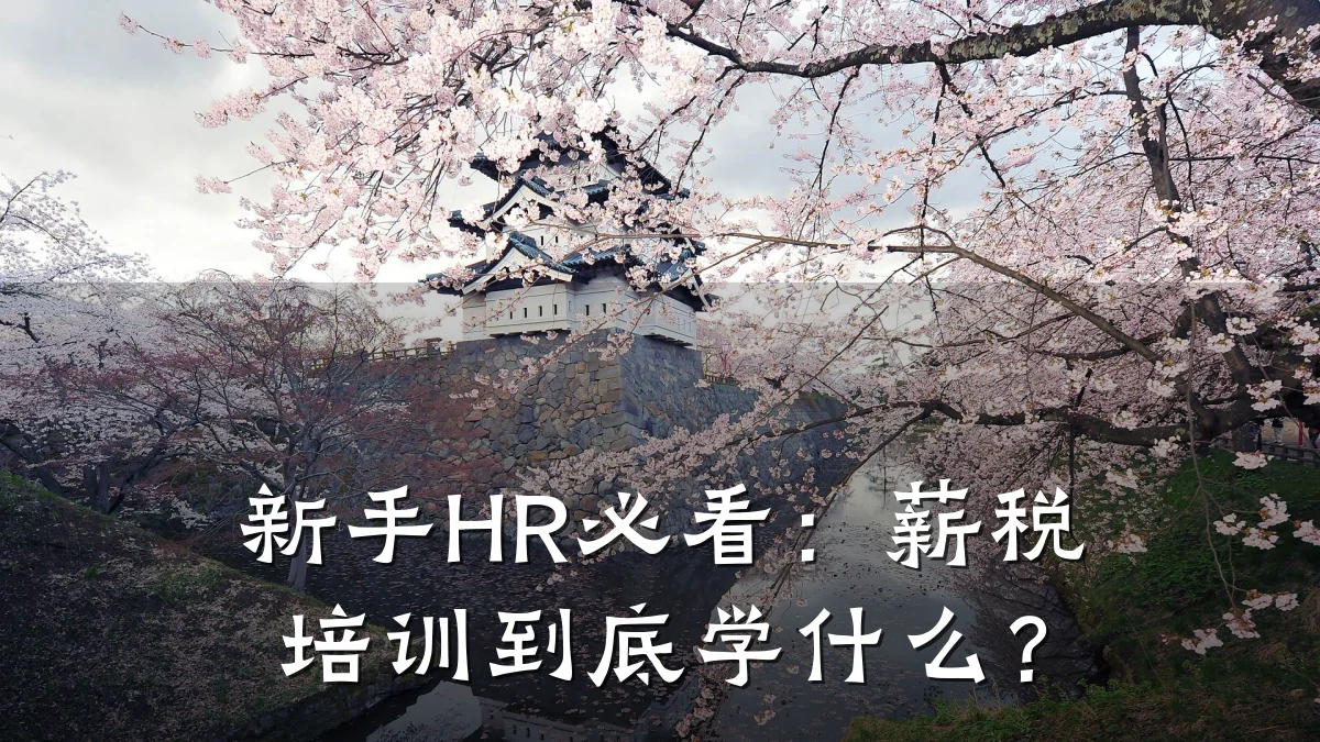 新手HR必看:薪税培训到底学什么?