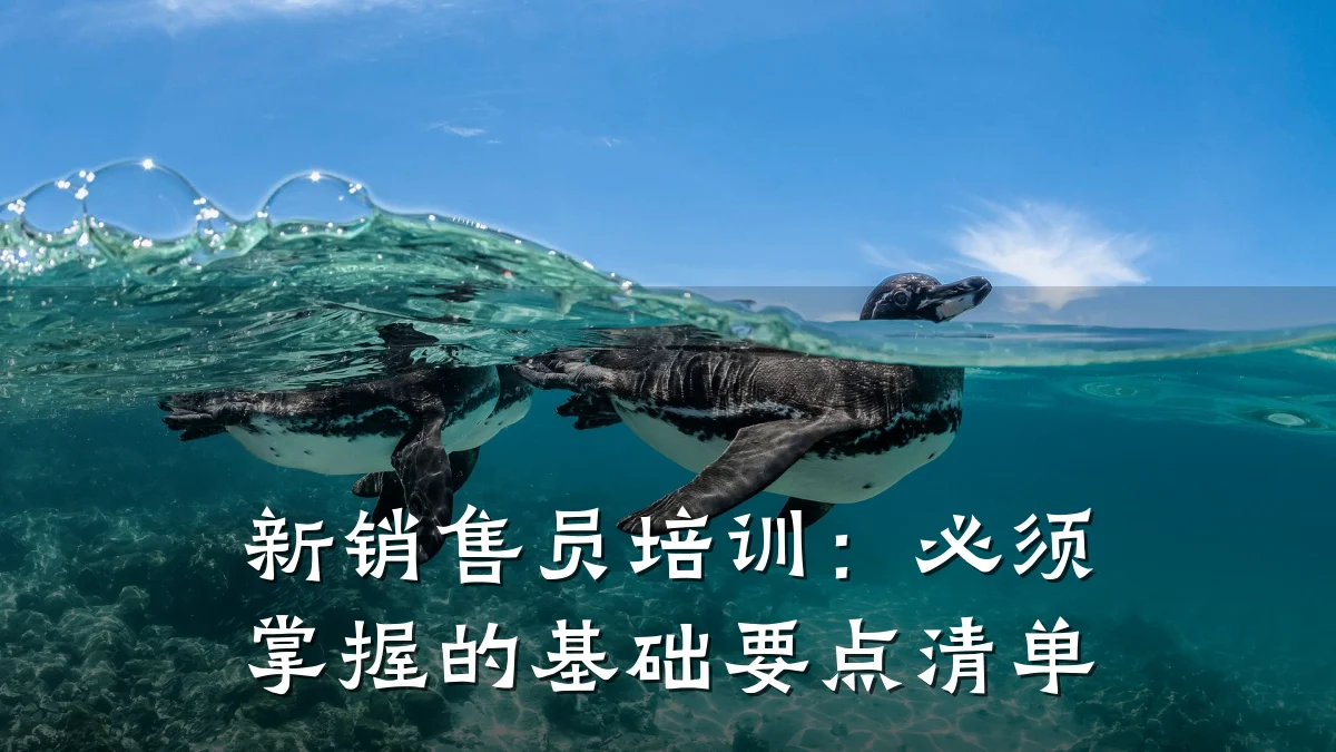 新销售员培训:必须掌握的基础要点清单