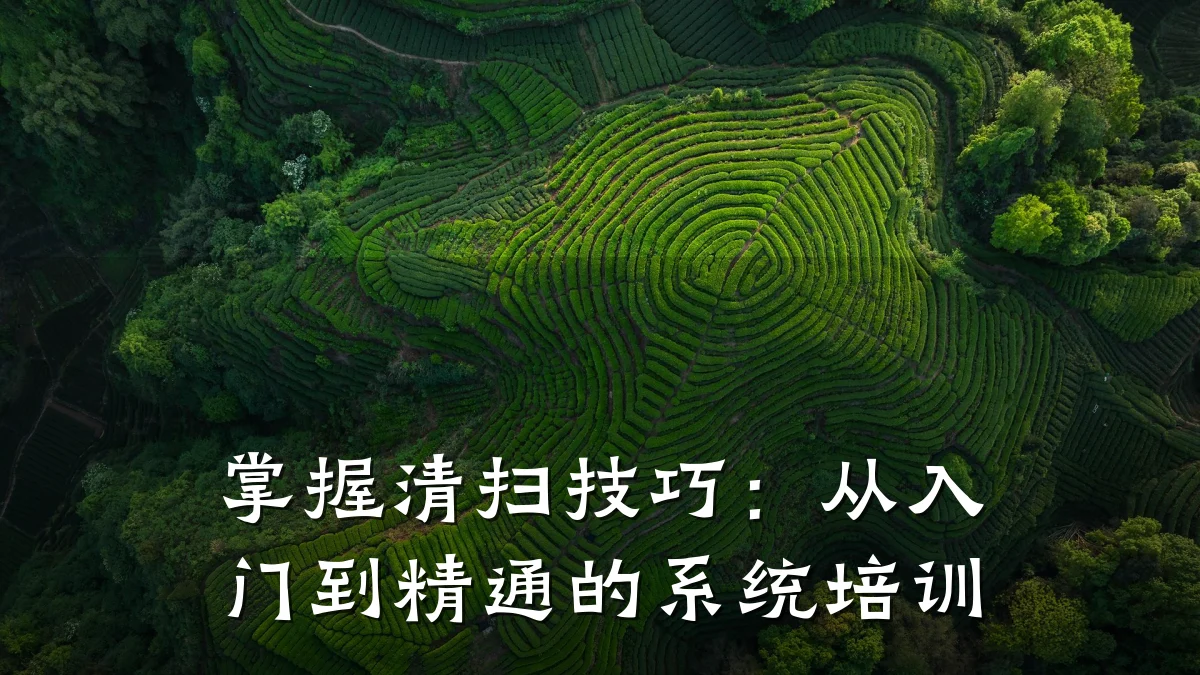 掌握清扫技巧:从入门到精通的系统培训