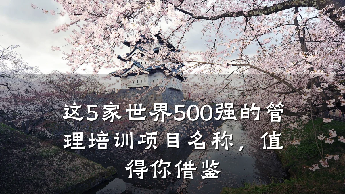 这5家世界500强的管理培训项目名称,值得你借鉴