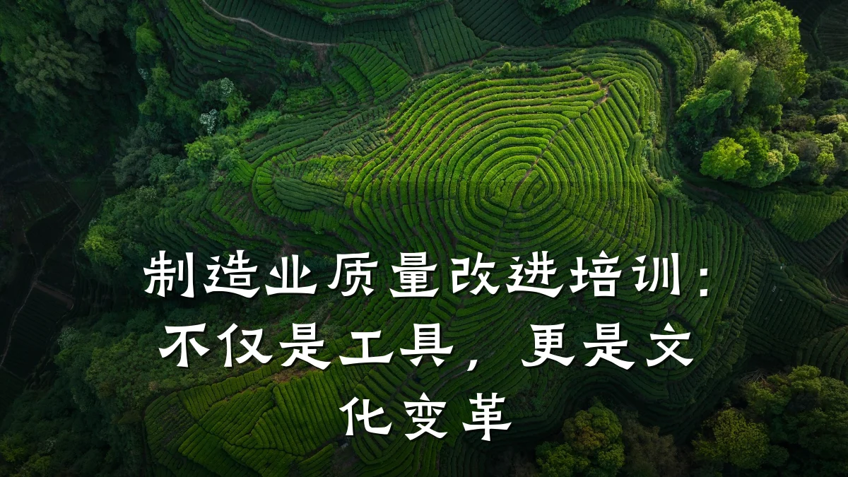 制造业质量改进培训:不仅是工具,更是文化变革