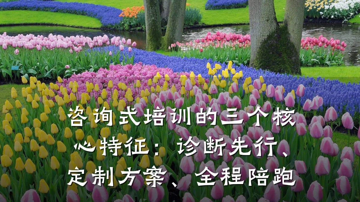 咨询式培训的三个核心特征:诊断先行、定制方案、全程陪跑