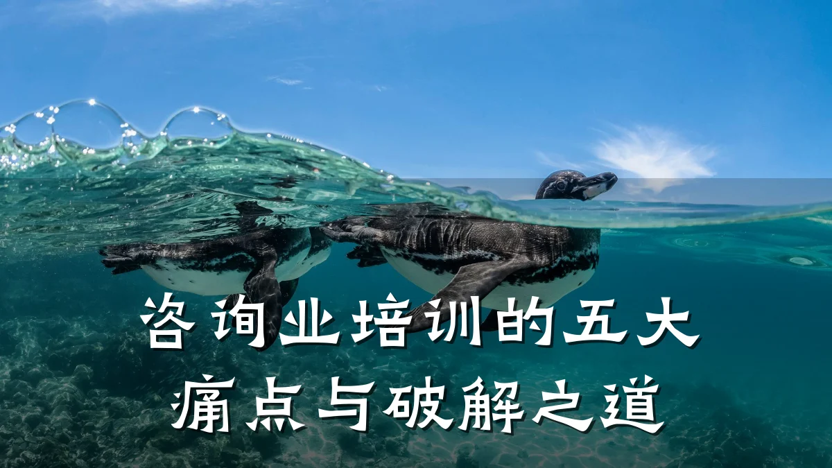 咨询业培训的五大痛点与破解之道
